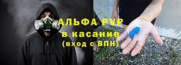хмурый Алзамай