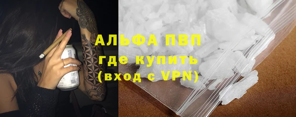 хмурый Алзамай