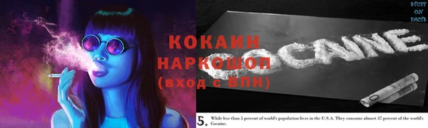 хмурый Алзамай