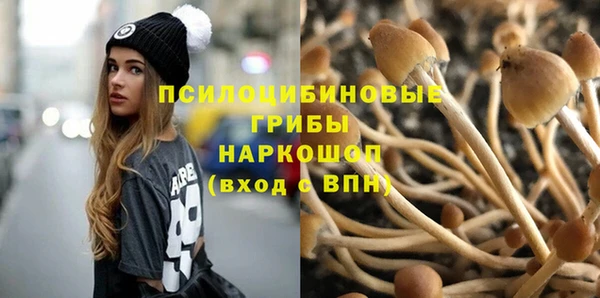 хмурый Алзамай