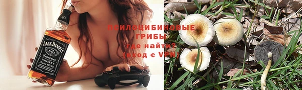 ALPHA PVP Алексеевка
