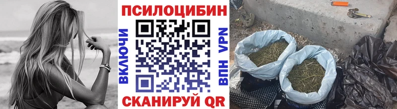 как найти наркотики Тайшет Галлюциногенные грибы MAGIC MUSHROOMS