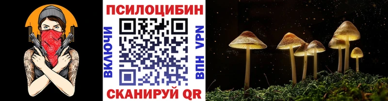 Галлюциногенные грибы Psilocybine cubensis Тайшет