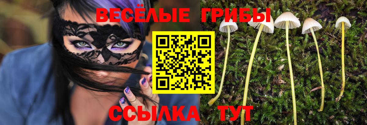 Галлюциногенные грибы Psilocybine cubensis Тайшет