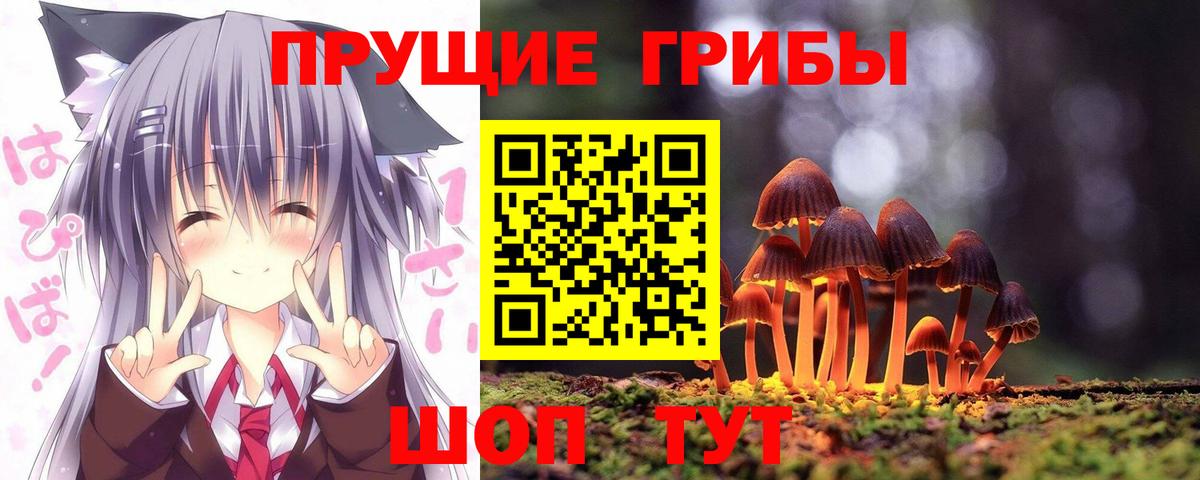Псилоцибиновые грибы ЛСД  Вход с VPN  цена наркотик  Тайшет 