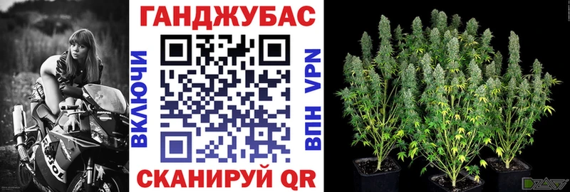Каннабис конопля Тайшет